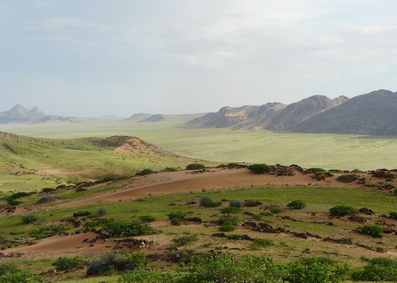 Serra Cafema area in the Green Season, Namibia