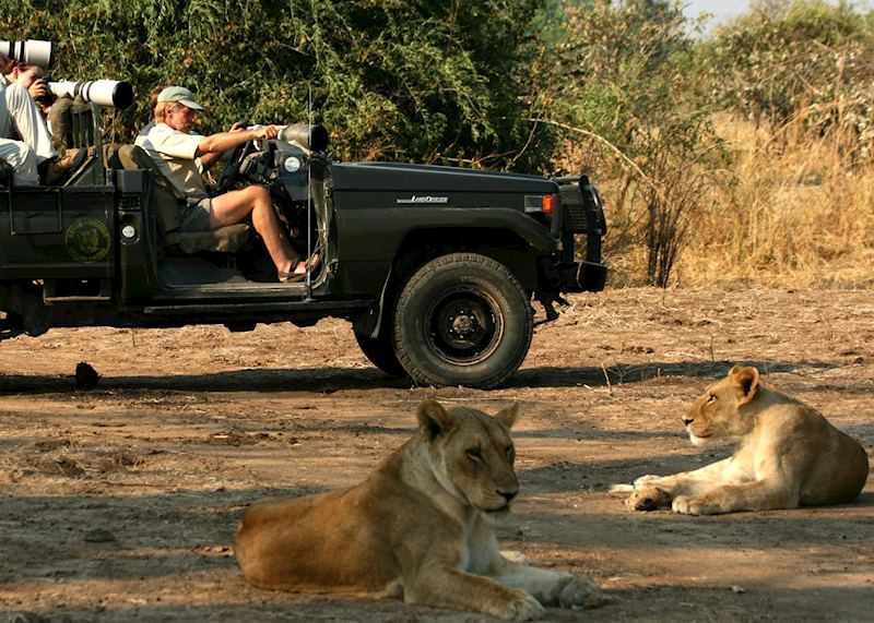 Game drive with Shenton Safaris