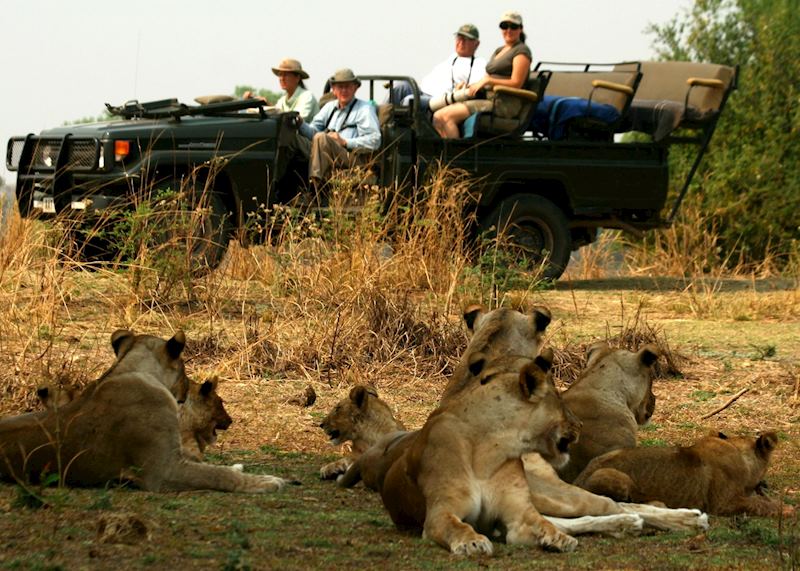 Game drive with Shenton Safaris
