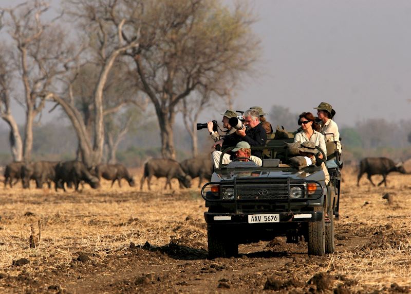 Game drive with Shenton Safaris