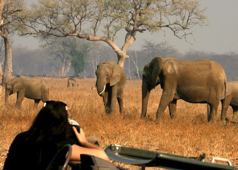 Game drive with Shenton Safaris