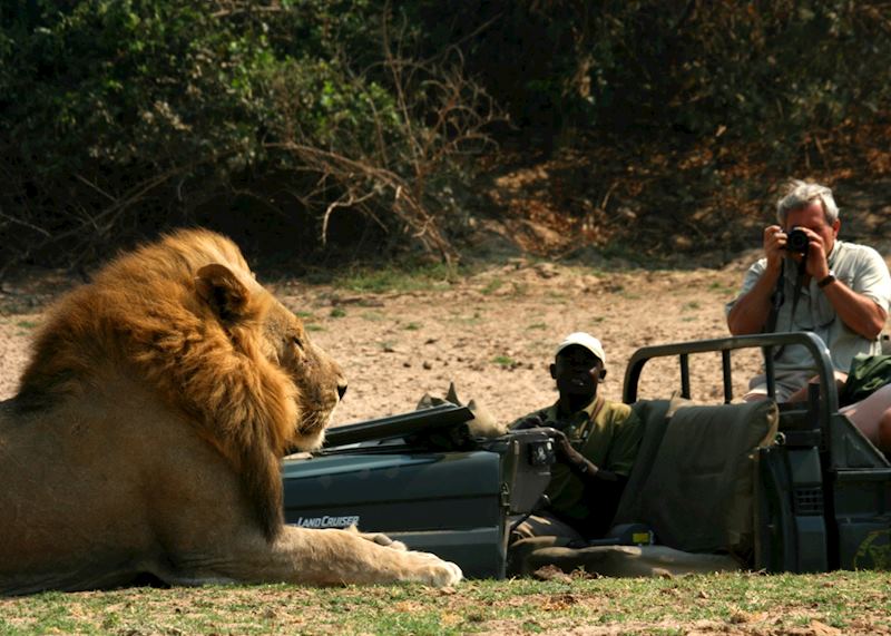 Game drive with Shenton Safaris