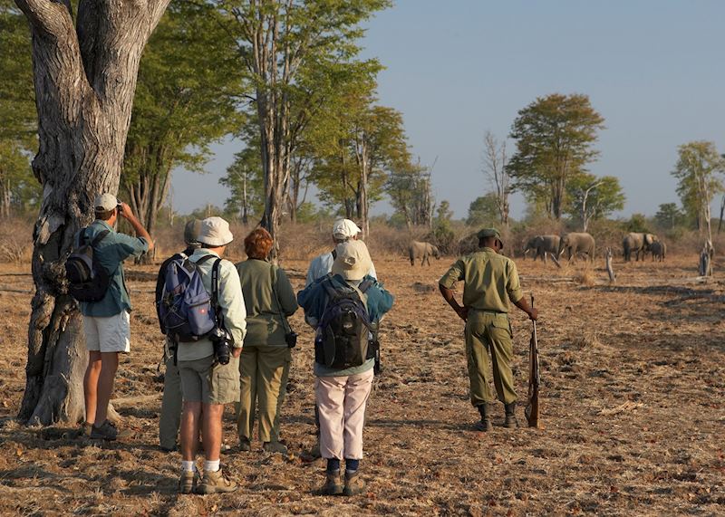 Walking safari with Shenton Safaris