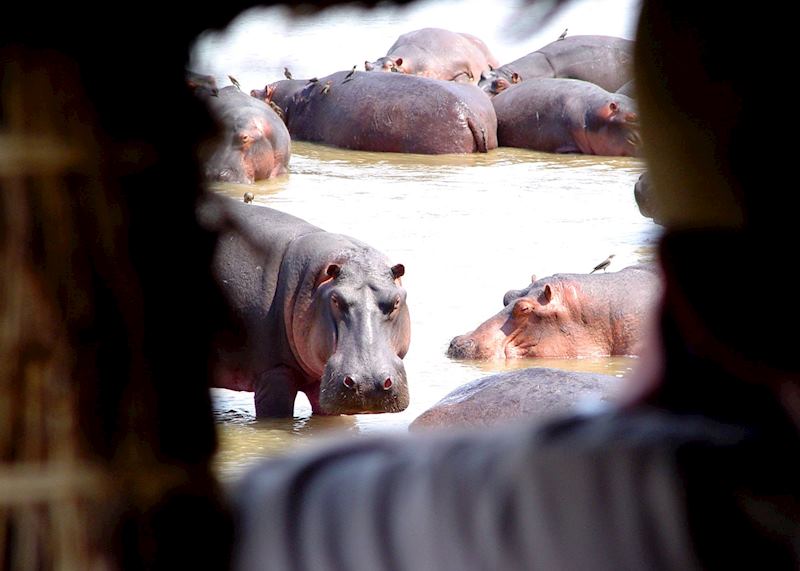 View from the hippo hide at Kaingo