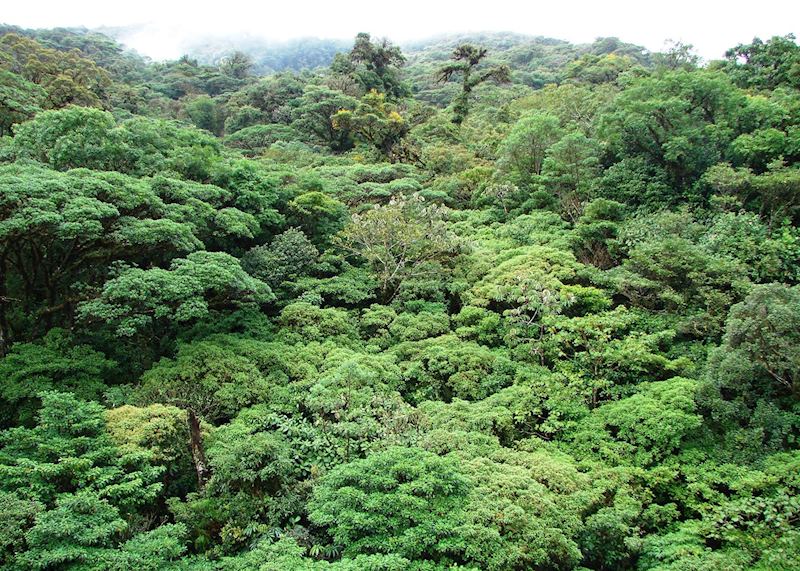 Canopy Tower, Panama