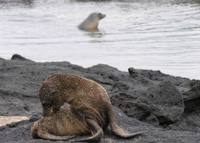 Galapagos Islands, Ecuador