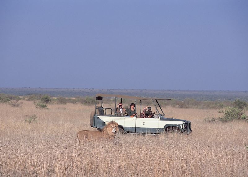 Game viewing in Loisaba