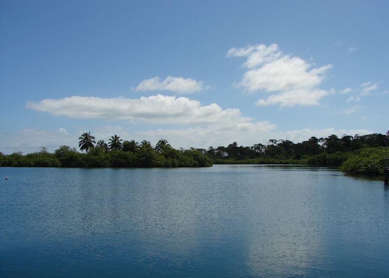 Tranquilo Bay, Panama