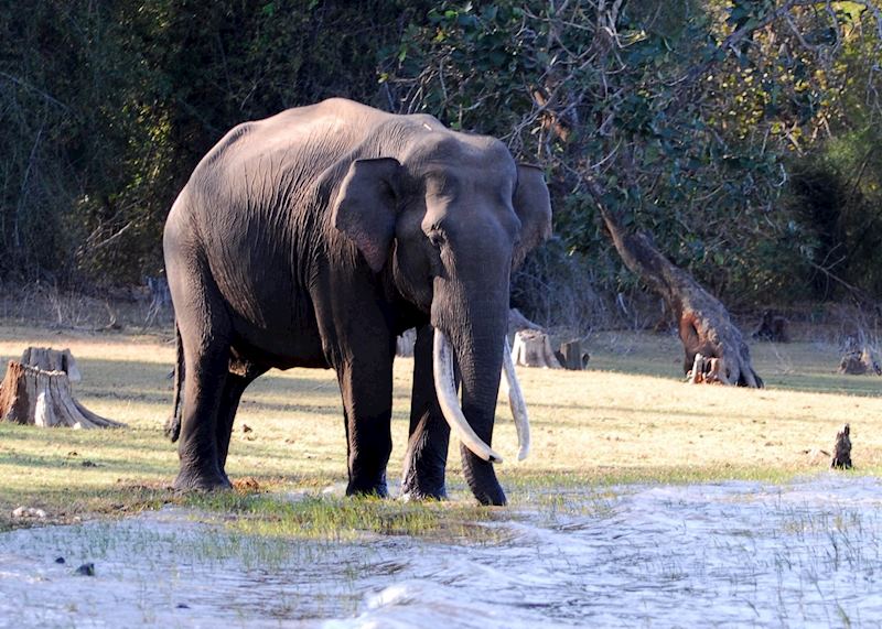 Periyar Wildlife Sanctuary, India