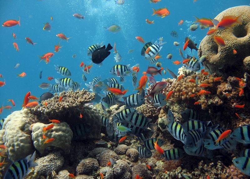 Diving round Ilha Grande