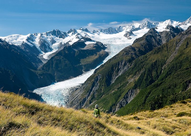 Fox Glacier, New Zealand