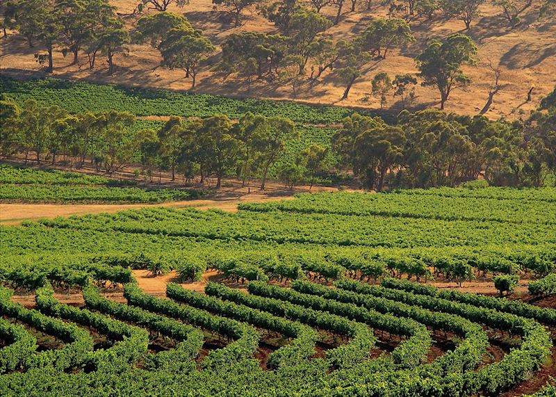 Clare Valley, Australia