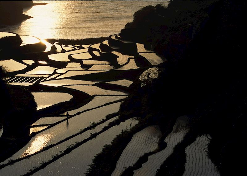 Rice terraces, rural Nagasaki