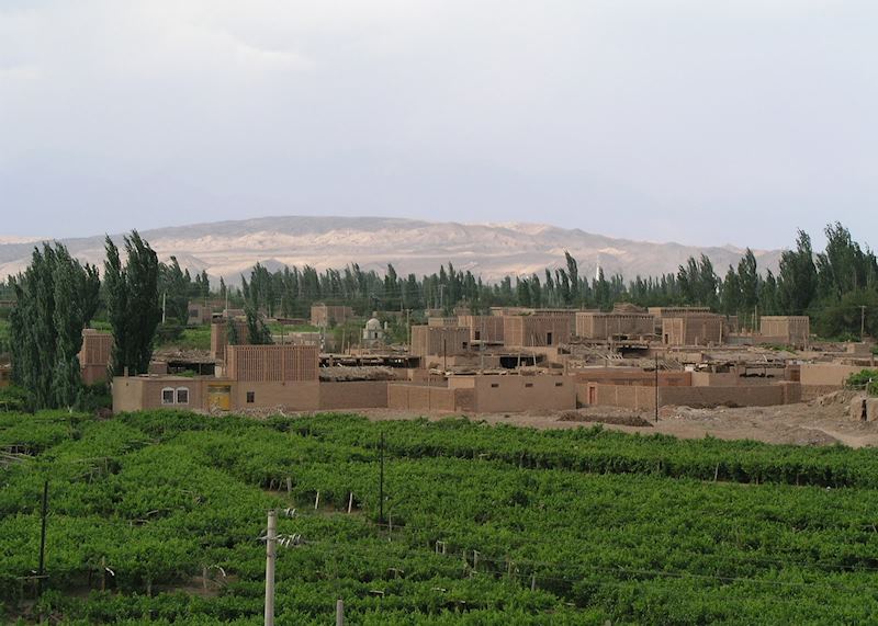 Grape houses, Turpan
