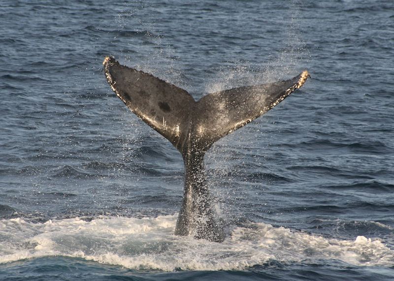 Cabo San Lucas, Mexico