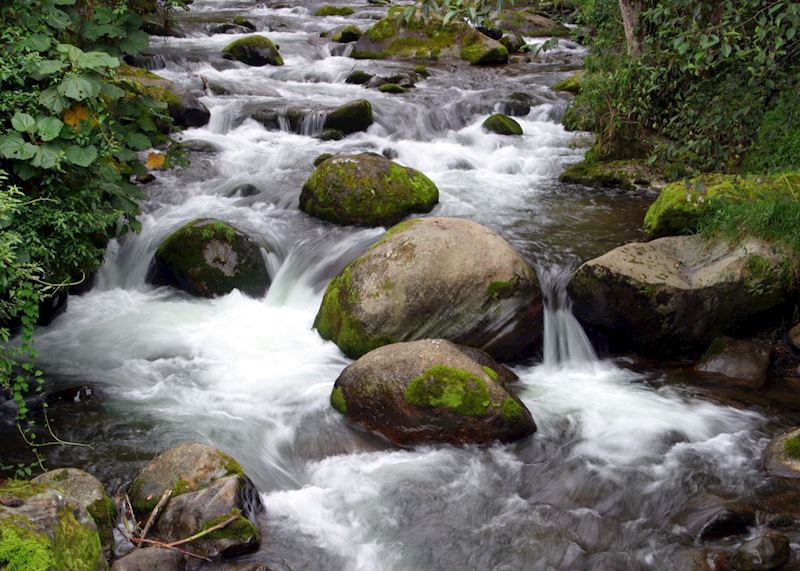 Rio Savegre, San Gerardo de Dota, Costa Rica