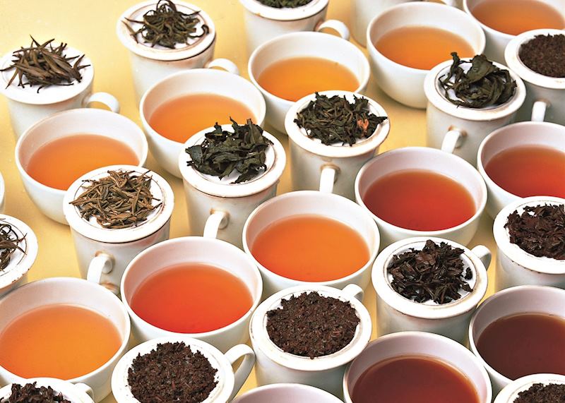 Tea Tasting, Hatton