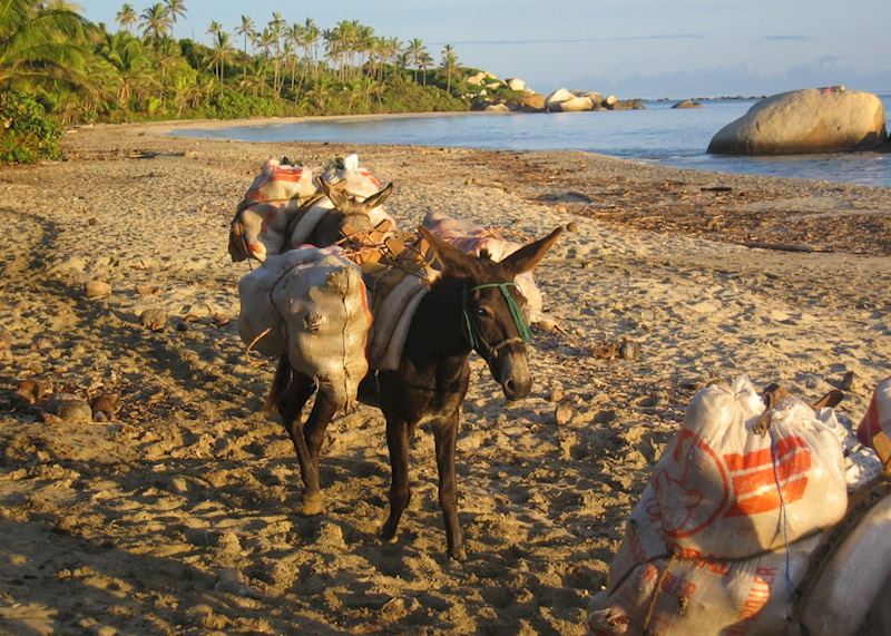 Tayrona National Park, Colombia