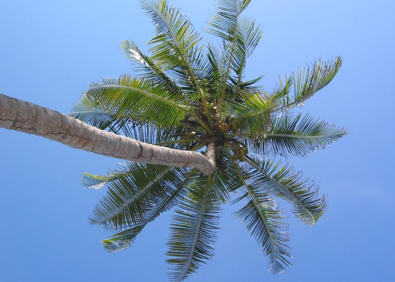Tayrona National Park, Colombia