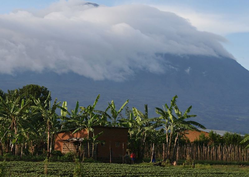 Farmland at the base of the Virunga Volcanoes