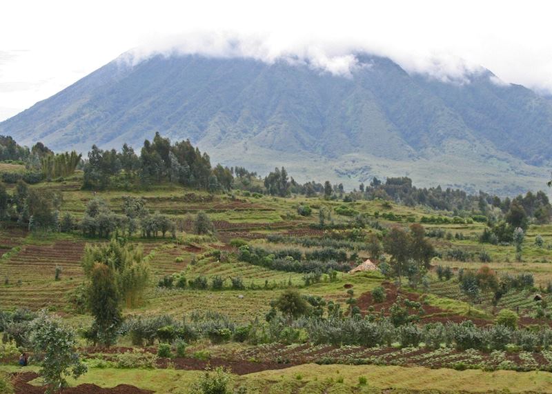 Farmland at the base of Sabyinyo Volcano