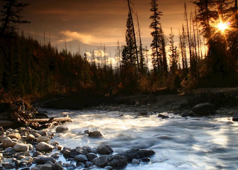 A mountain river, Vancouver Island