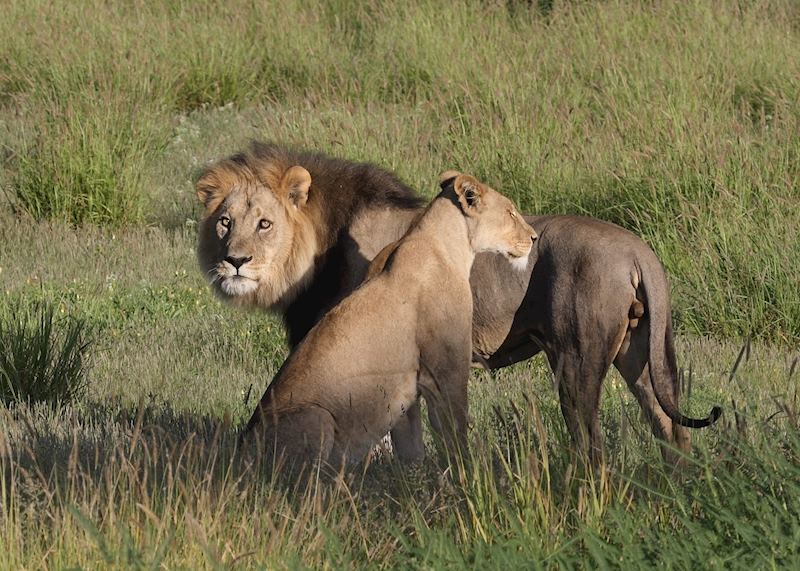Moremi Wildlife Reserve, Botswana