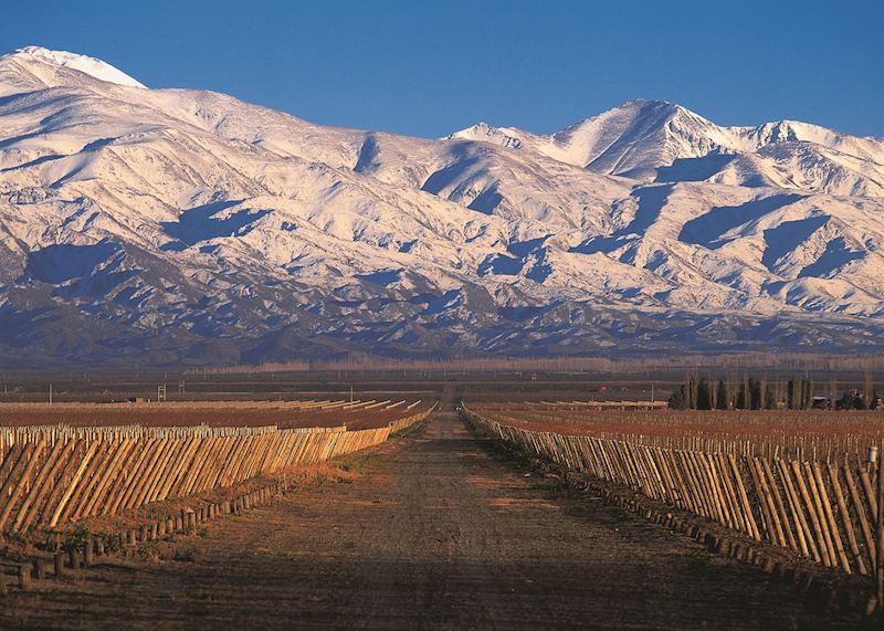 Argentina's Andes