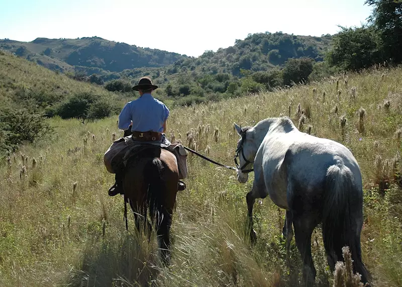 Stream Lasso gaucho en Argentine by BloupTrotters_blog