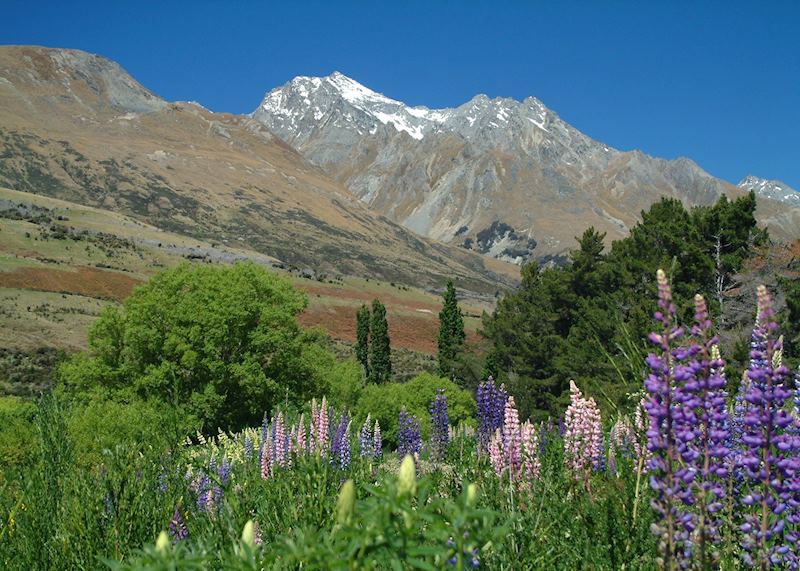 Glenorchy and the Queenstown area