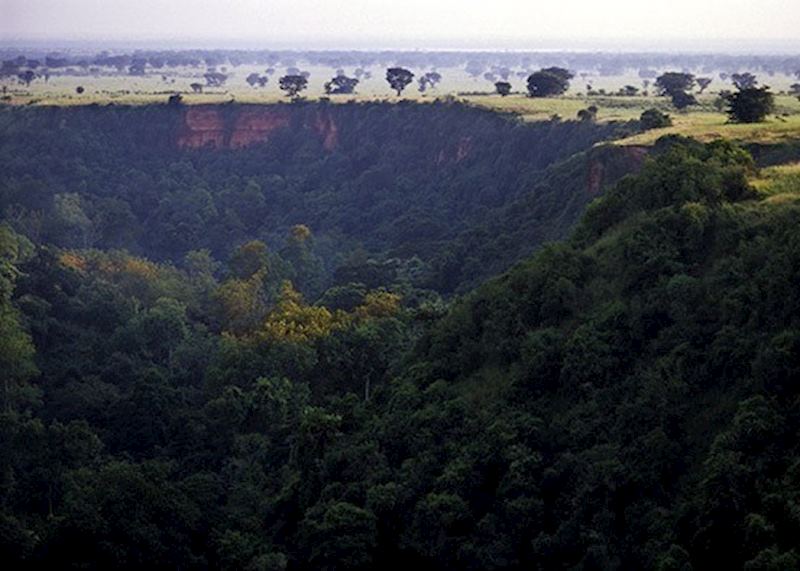 Kyambura Gorge, Queen Elizabeth National Park