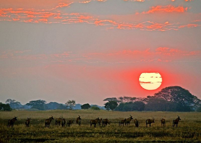 Dawn in the Kafue National Park