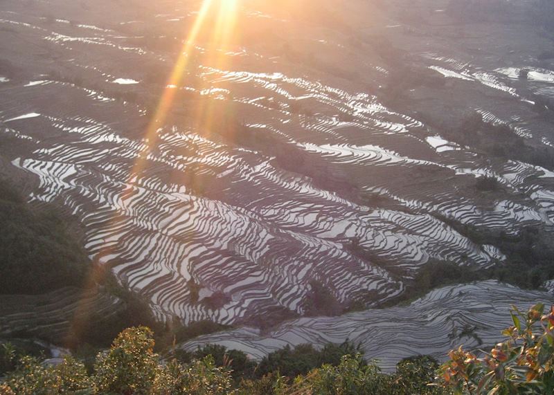 Sunset over the rice terraces, Yuanyang, China