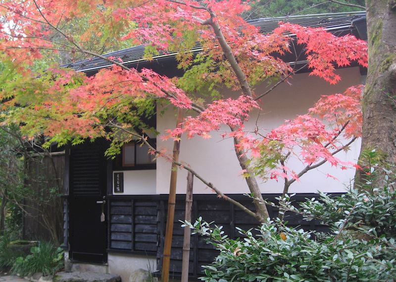 Autumn colours, Kurokawa