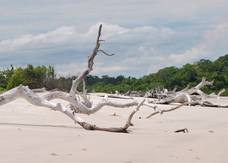 Ambodrampasy Bay, Anjajavy