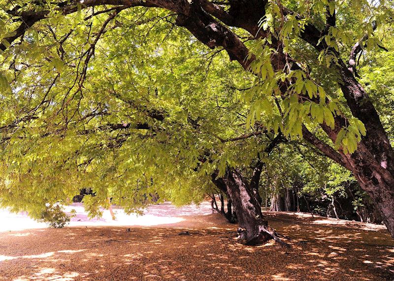 Anjajavy Private Nature Reserve, Madagascar