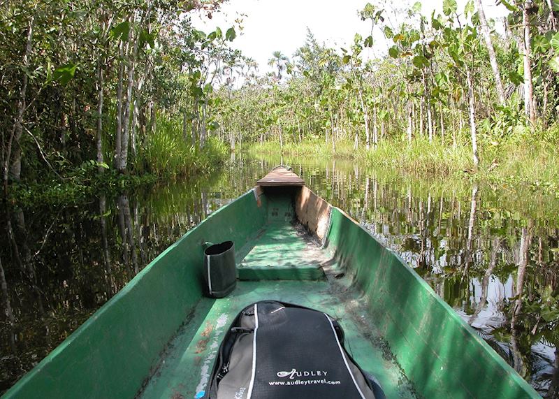 Audley in the Ecuadorian Amazon