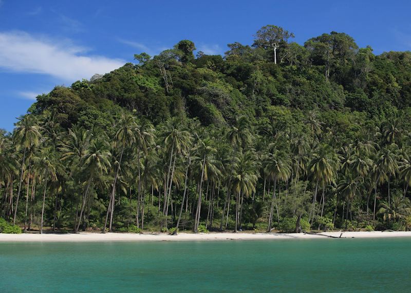 Palm fringed shores of Koh Kood, Thailand