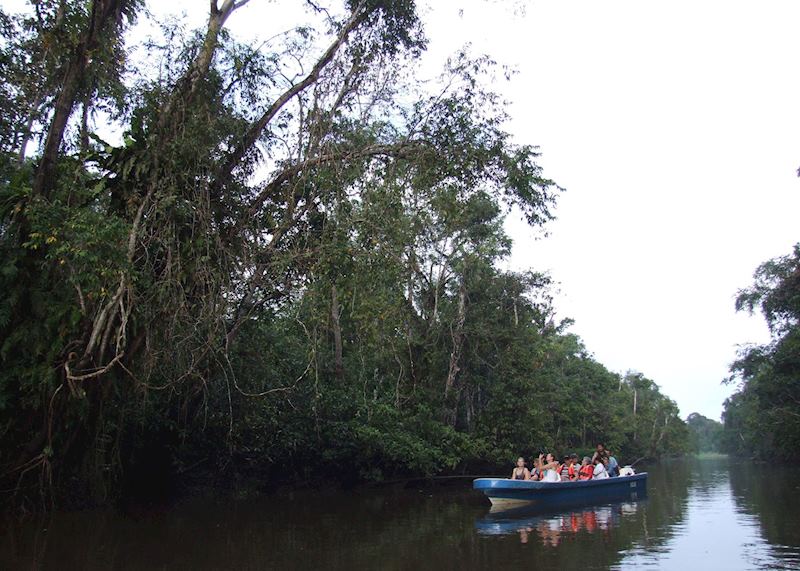 Wildlife spotting on the Kinabatangan River, Malaysian Borneo