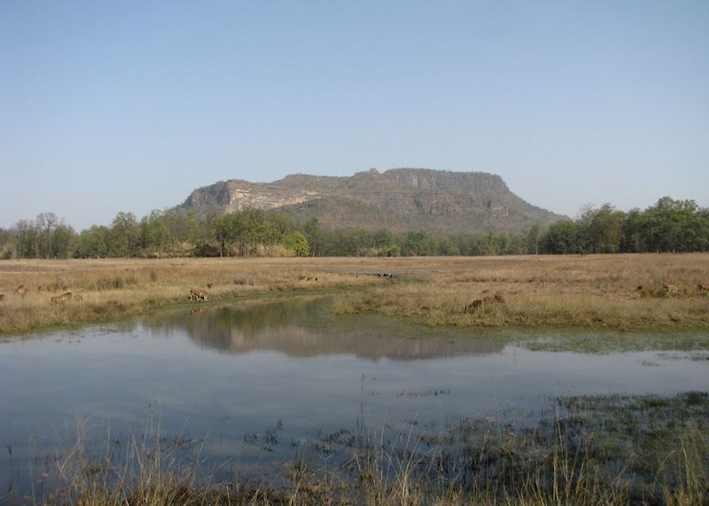 View of the majestic Bandhavgarh fort