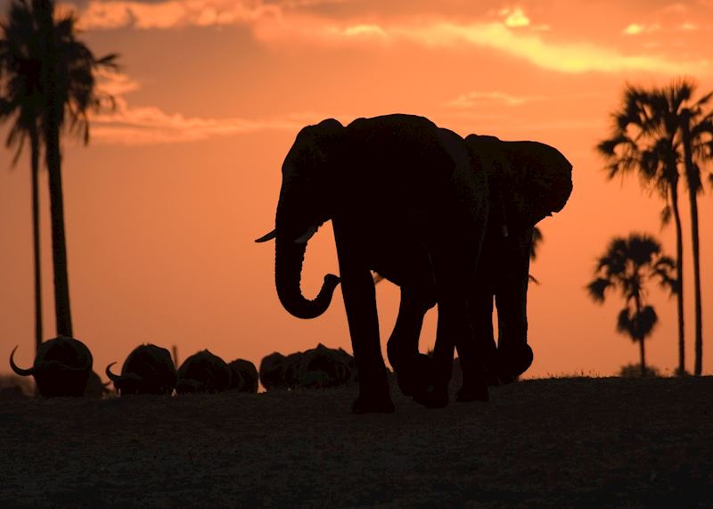 Sunset in Hwange
