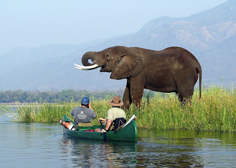 Canoe safari in Mana Pools
