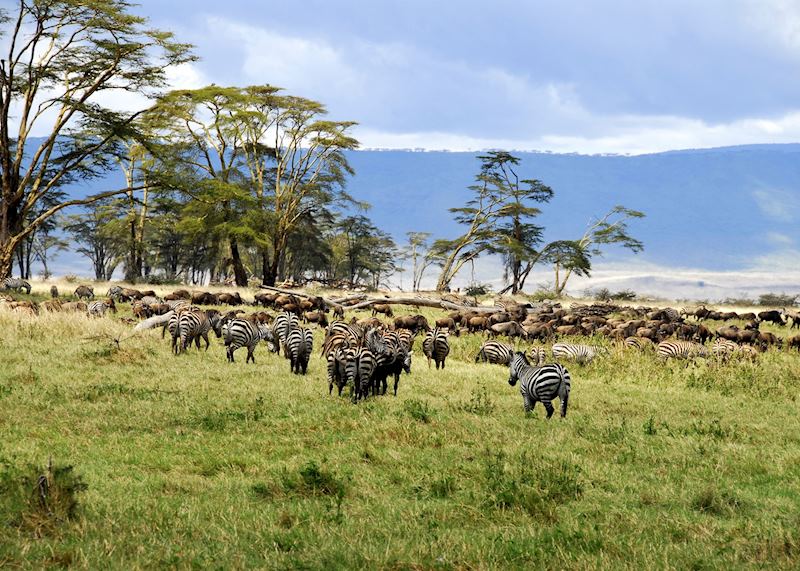 Ngorongoro Crater, Tanzania
