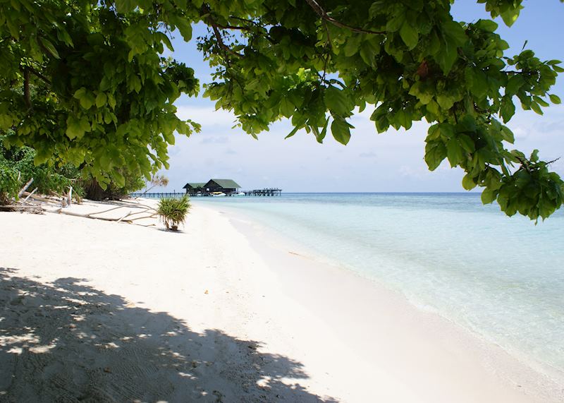 Lankayan Island, Borneo