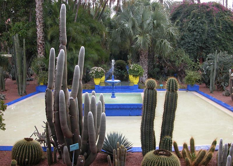 Majorelle Gardens, Marrakesh