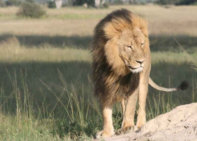 Hwange National Park, Zimbabwe