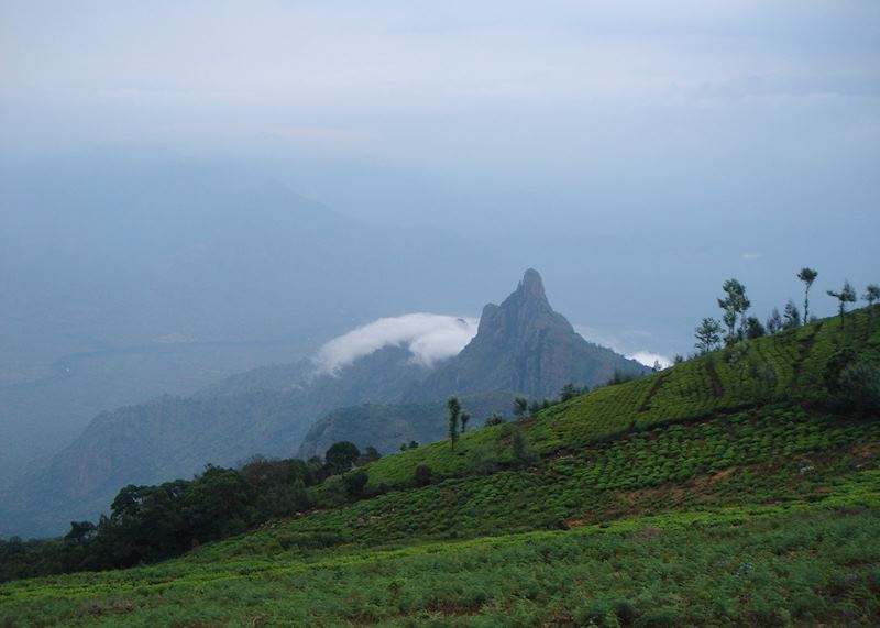 A viewpoint of the hills near Ooty