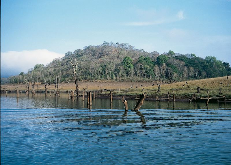 View of Periyar Lake