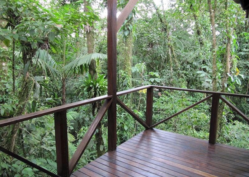 View from Casita, Rio Celeste Hideaway Hotel, Tenorio Volcano