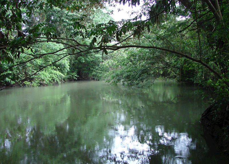 River at Big Falls, Belize
